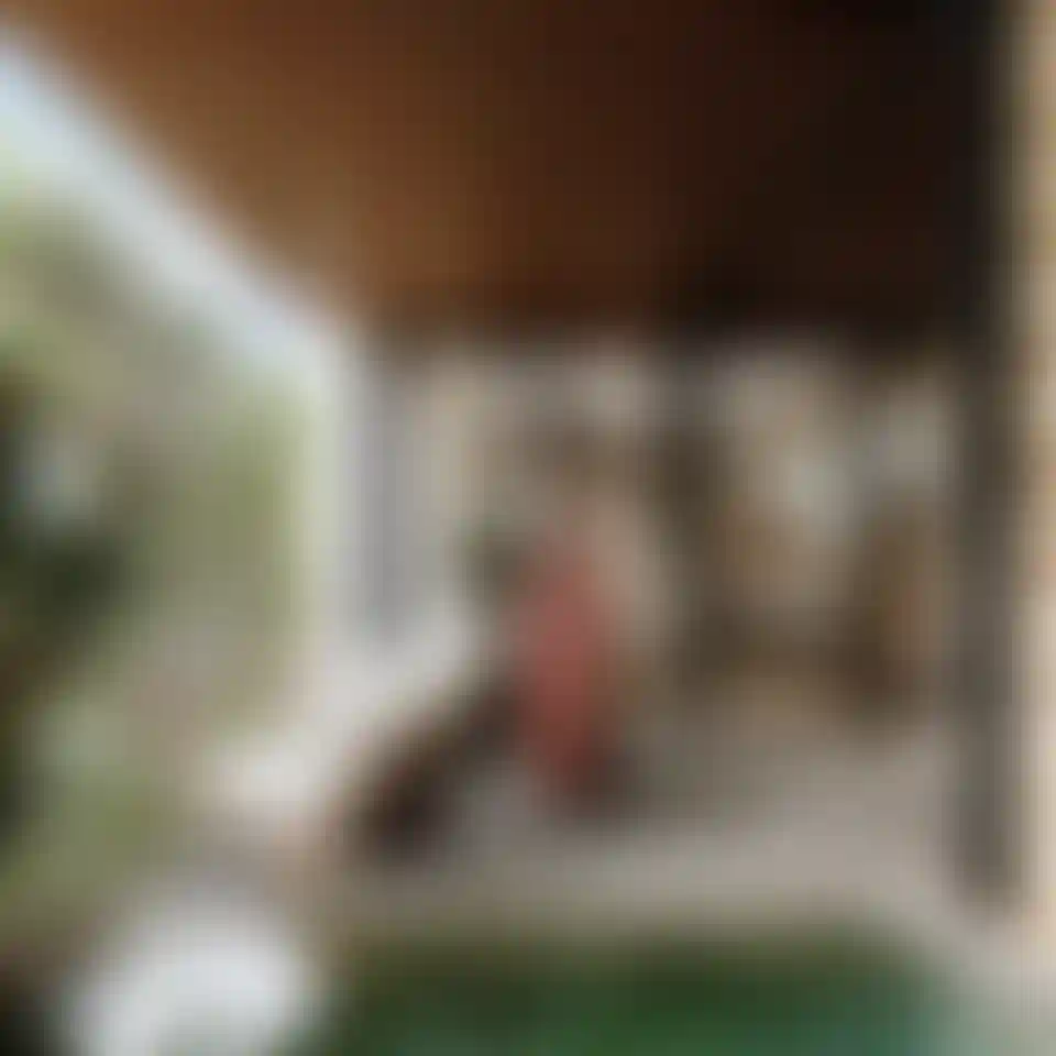 image for main block