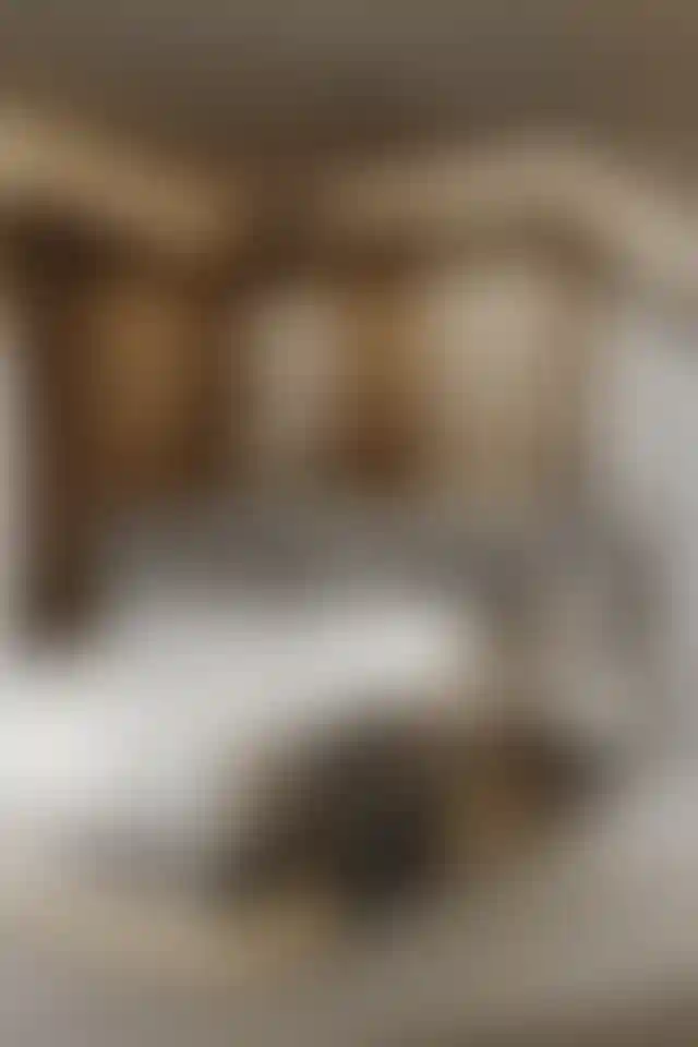 image for main block