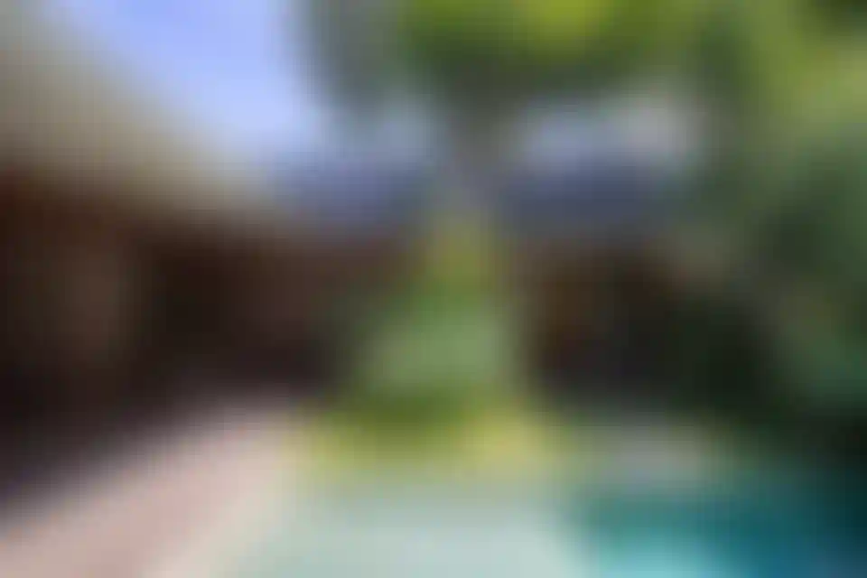 image for main block