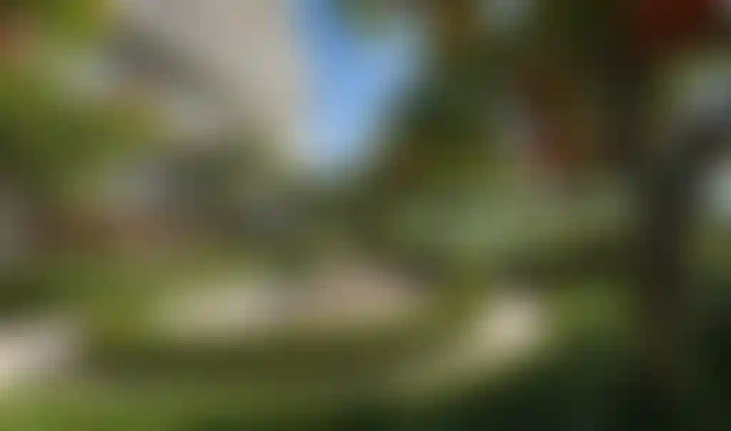 image for main block