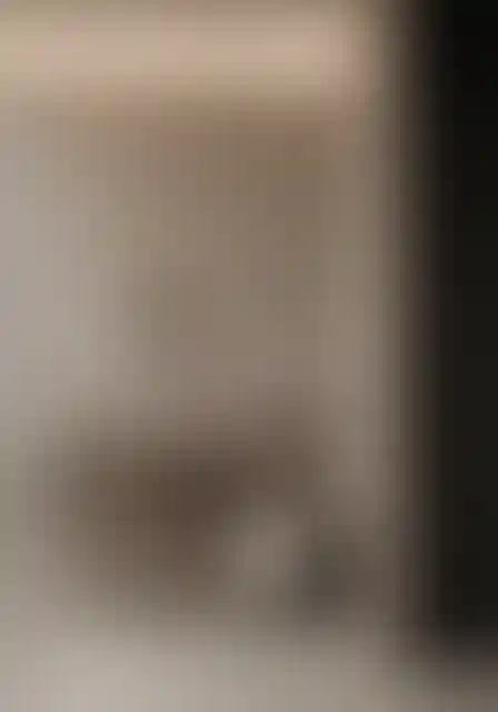 image for main block