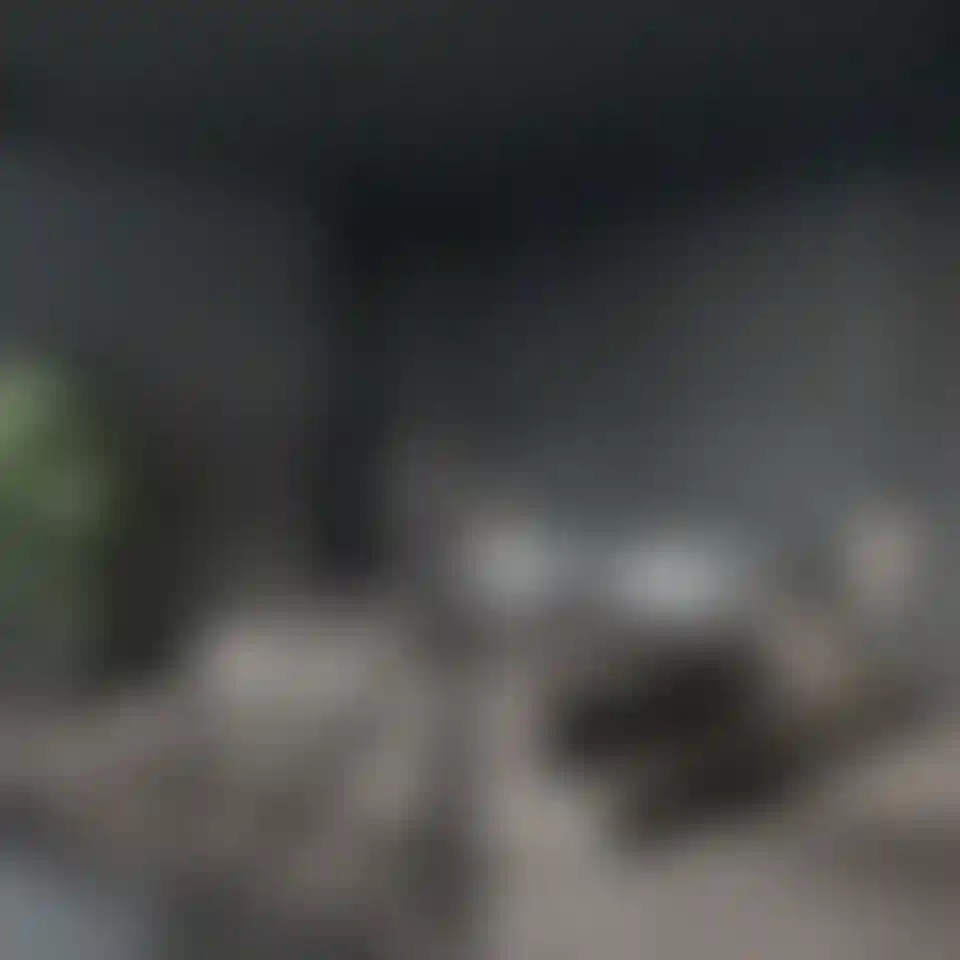 image for main block