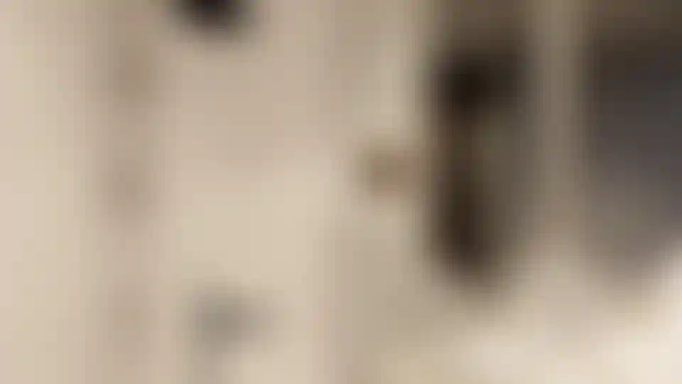 image for main block