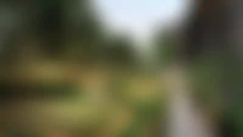 image for main block