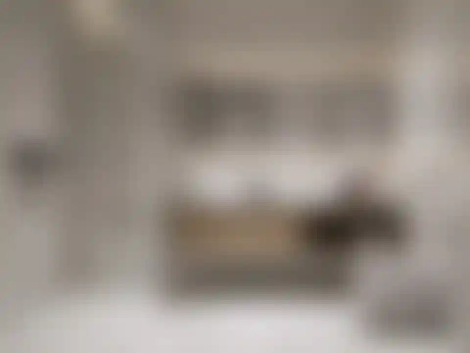 image for main block