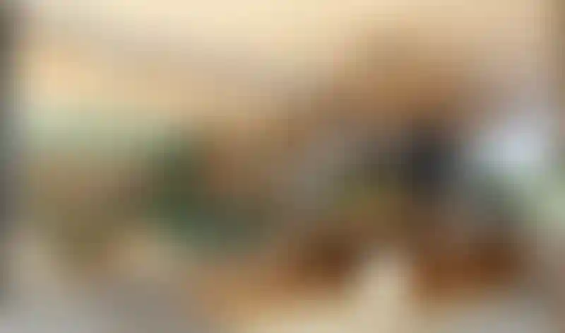 image for main block