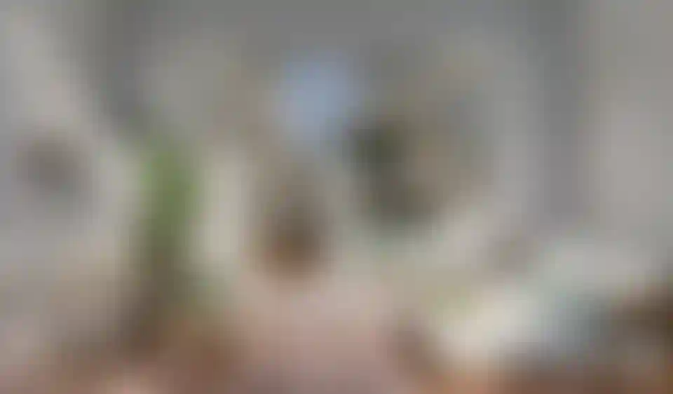 image for main block