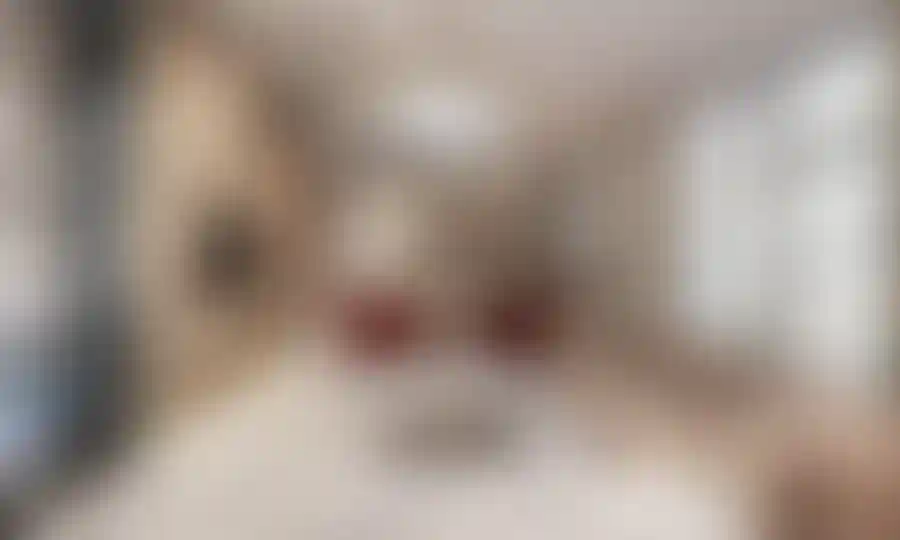 image for main block