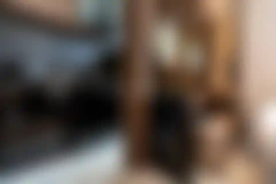 image for main block