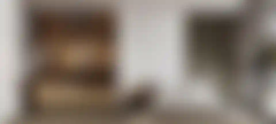 image for main block