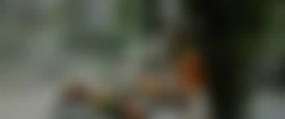 image for main block