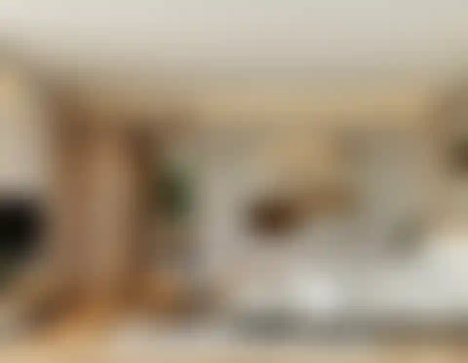 image for main block