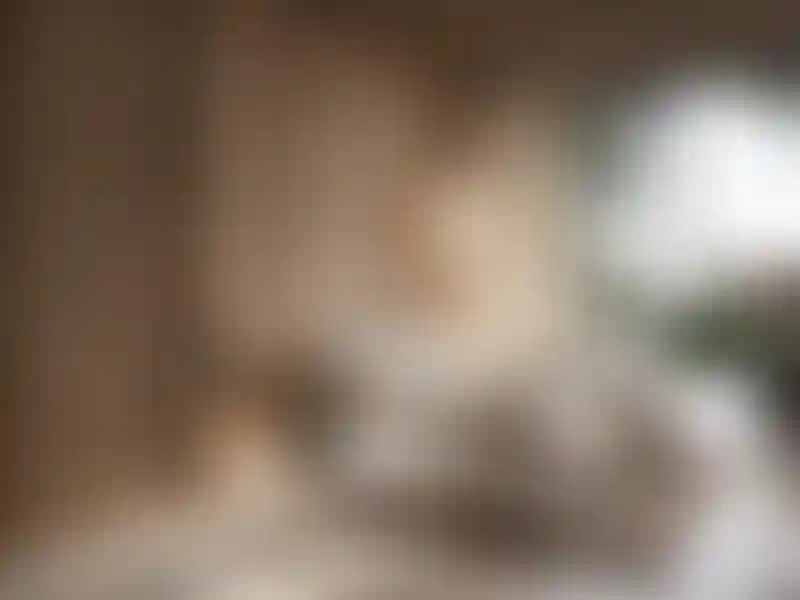 image for main block