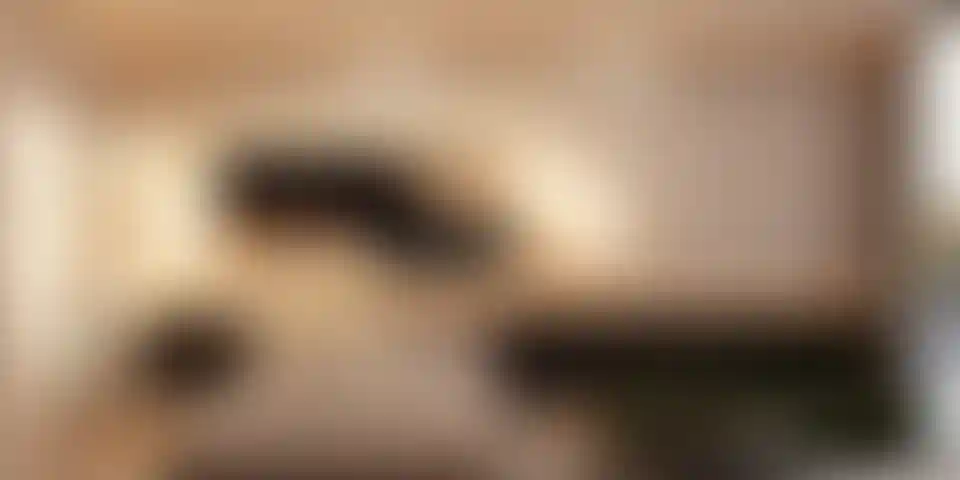 image for main block