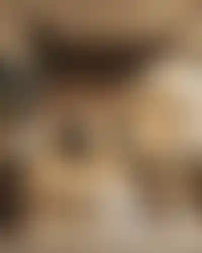 image for main block