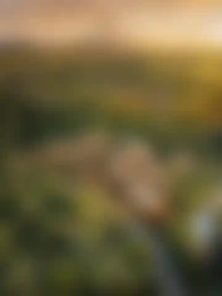 image for main block