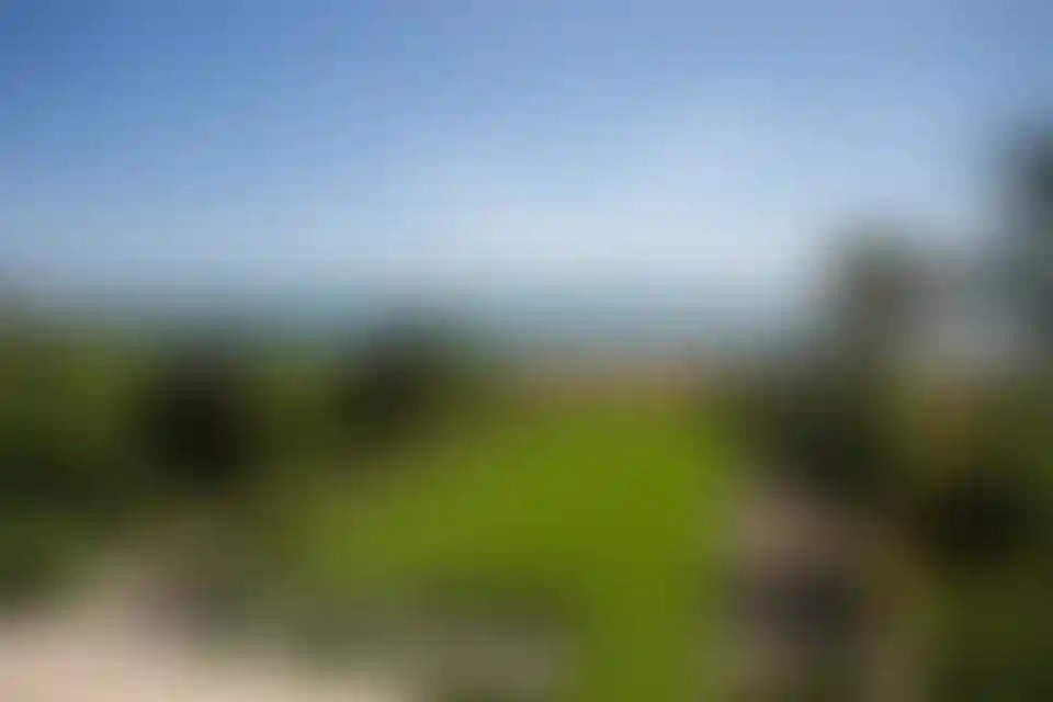 image for main block