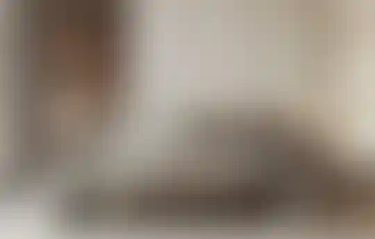 image for main block