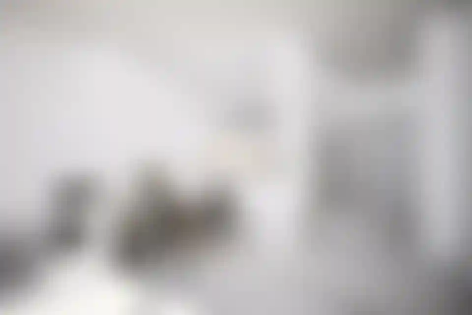 image for main block