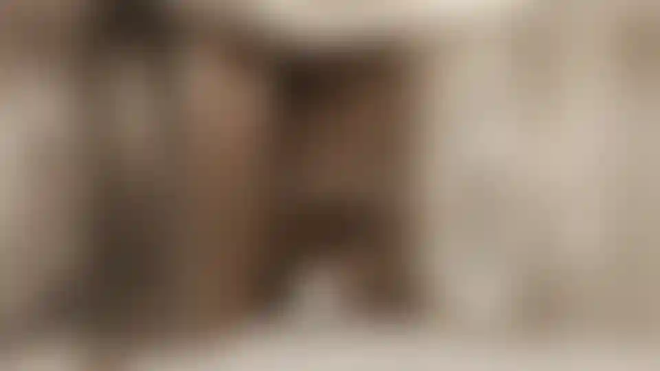 image for main block