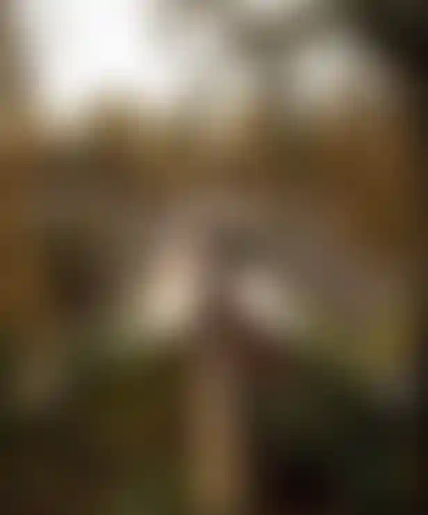 image for main block