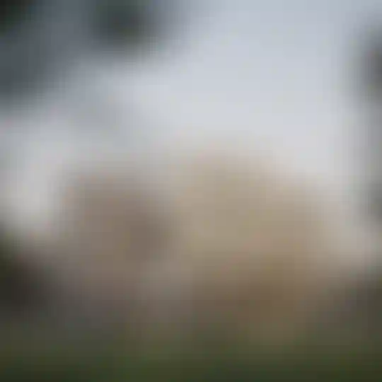 image for main block