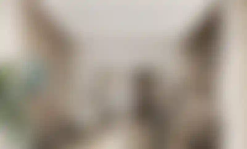 image for main block