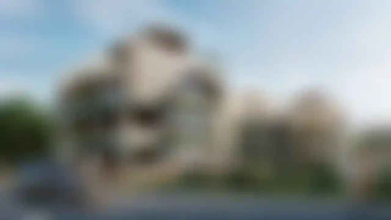 image for main block