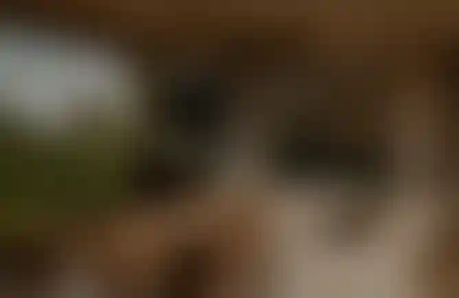 image for main block