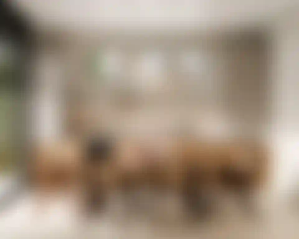 image for main block