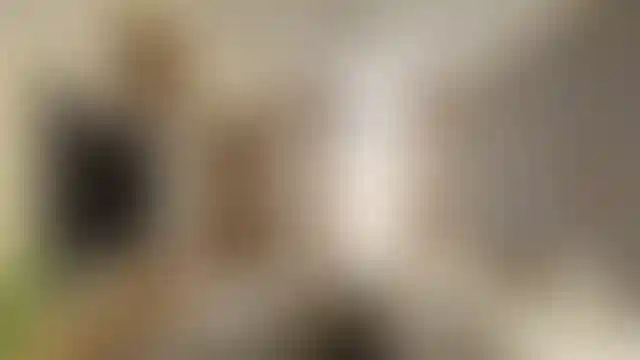 image for main block