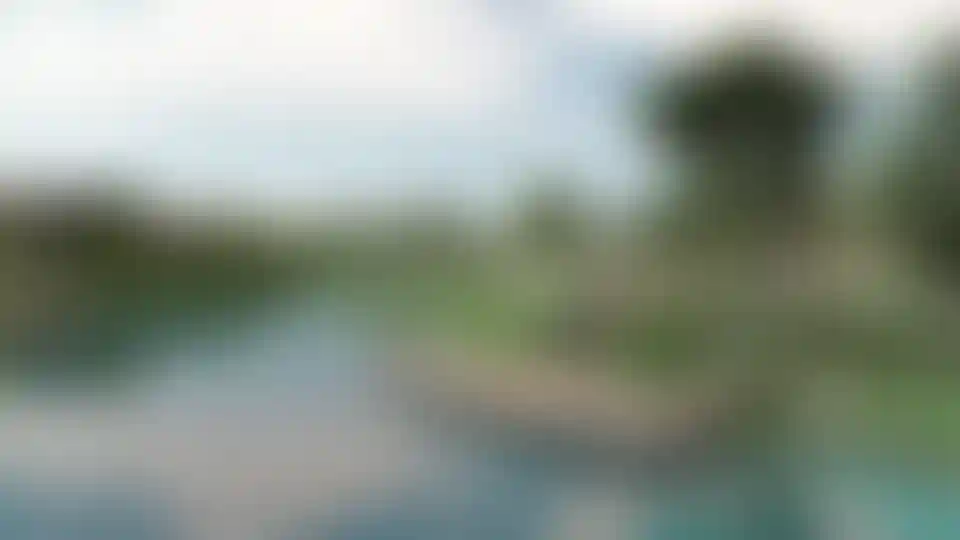 image for main block