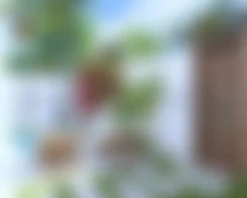 image for main block