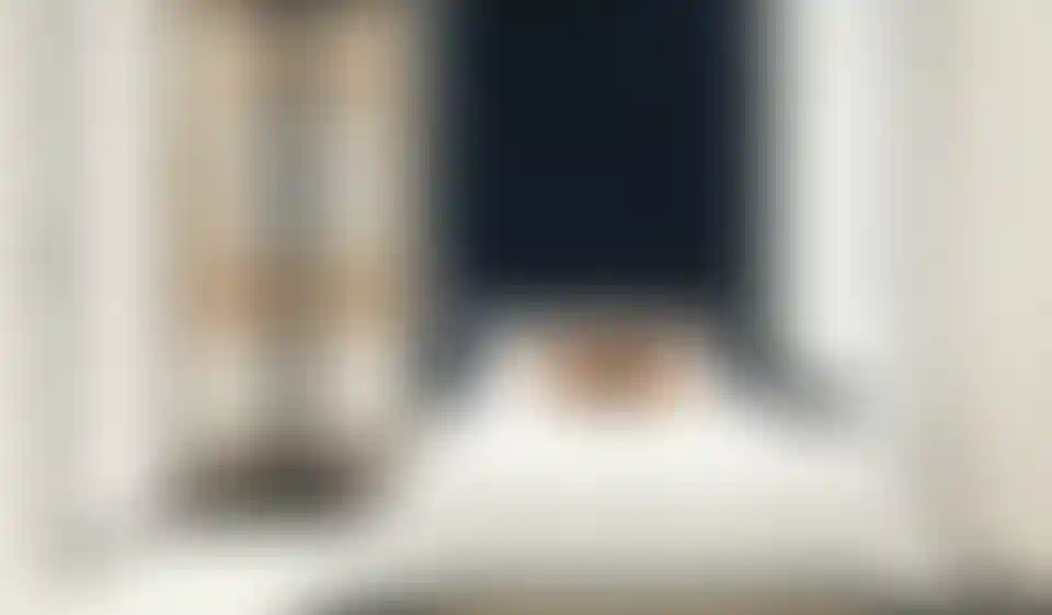 image for main block