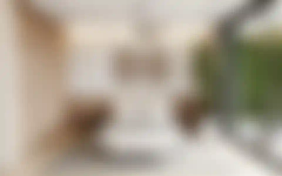 image for main block