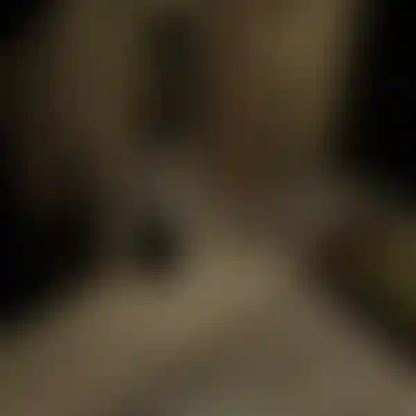 image for main block