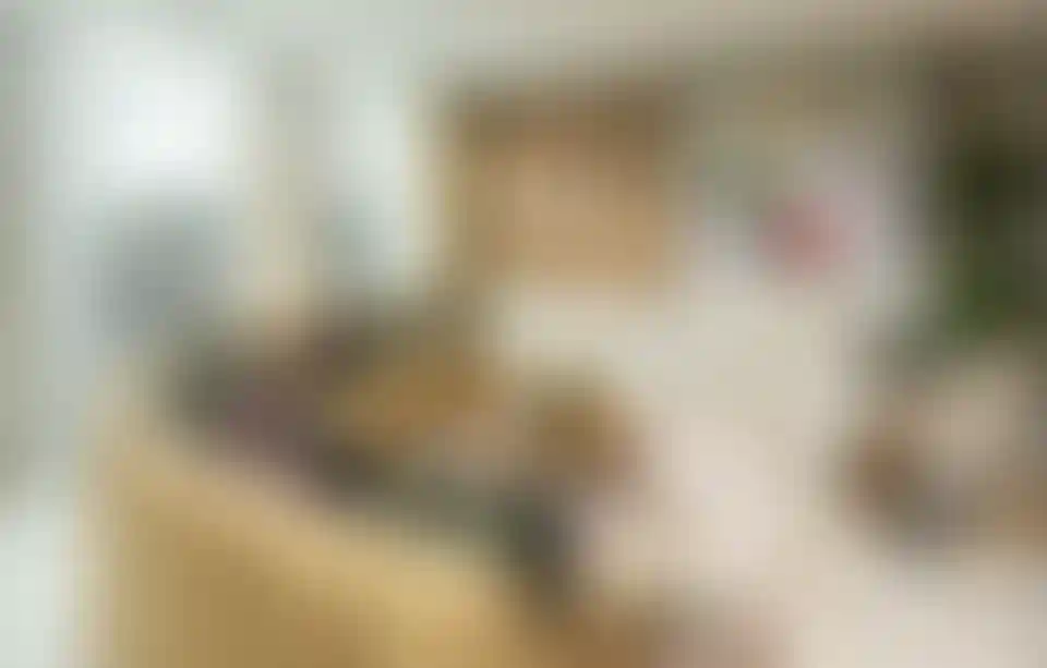 image for main block