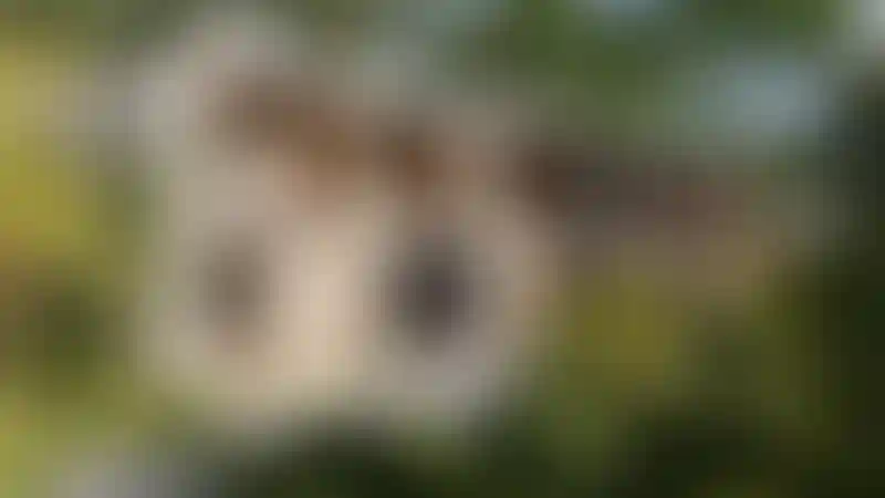 image for main block