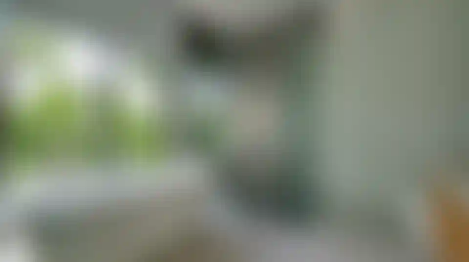 image for main block