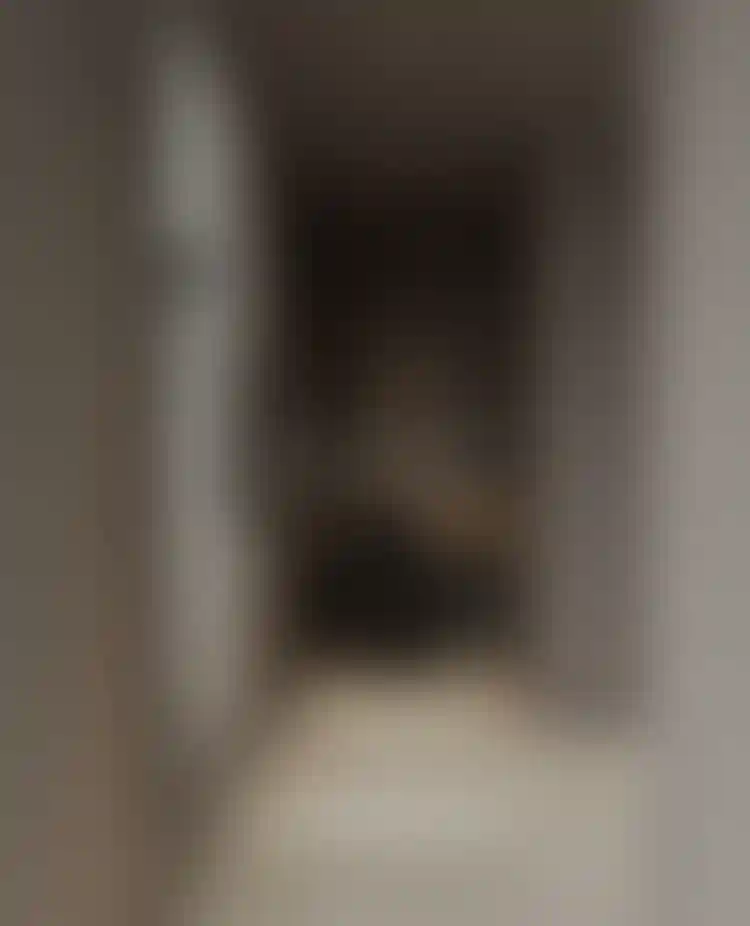 image for main block