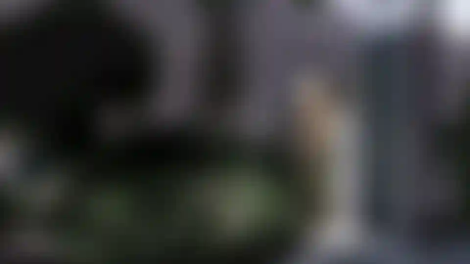 image for main block