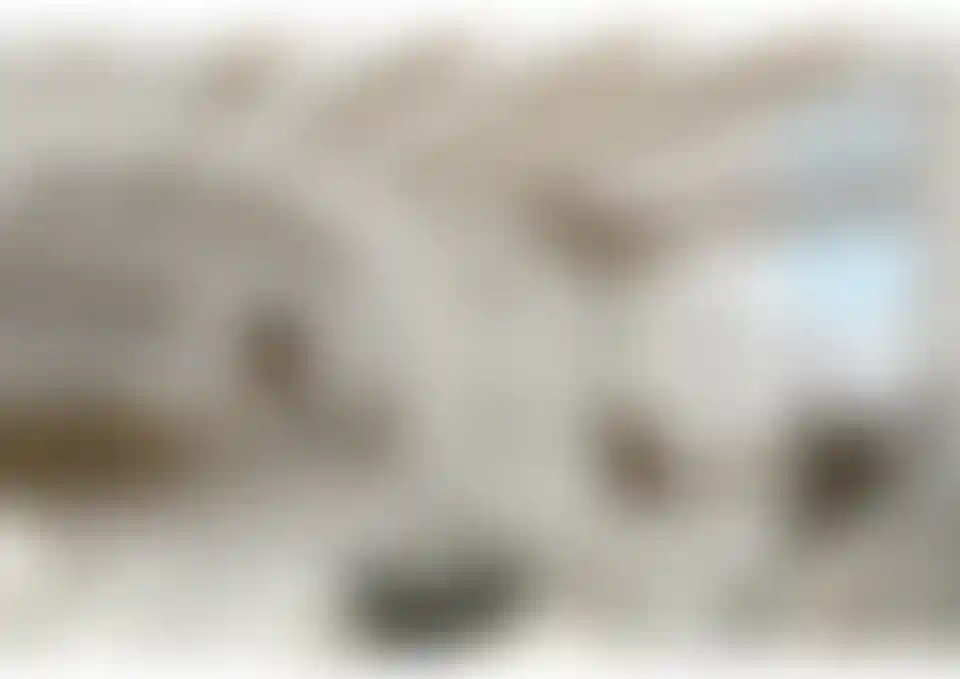 image for main block