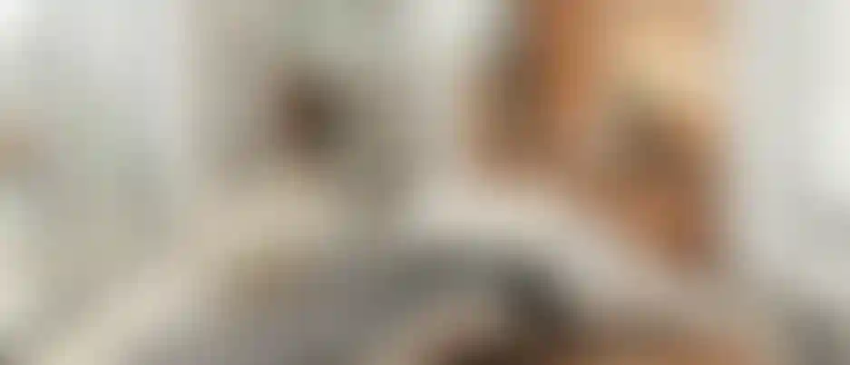 image for main block