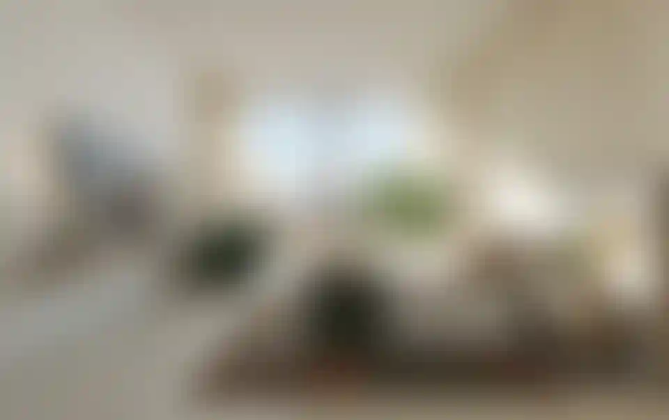 image for main block