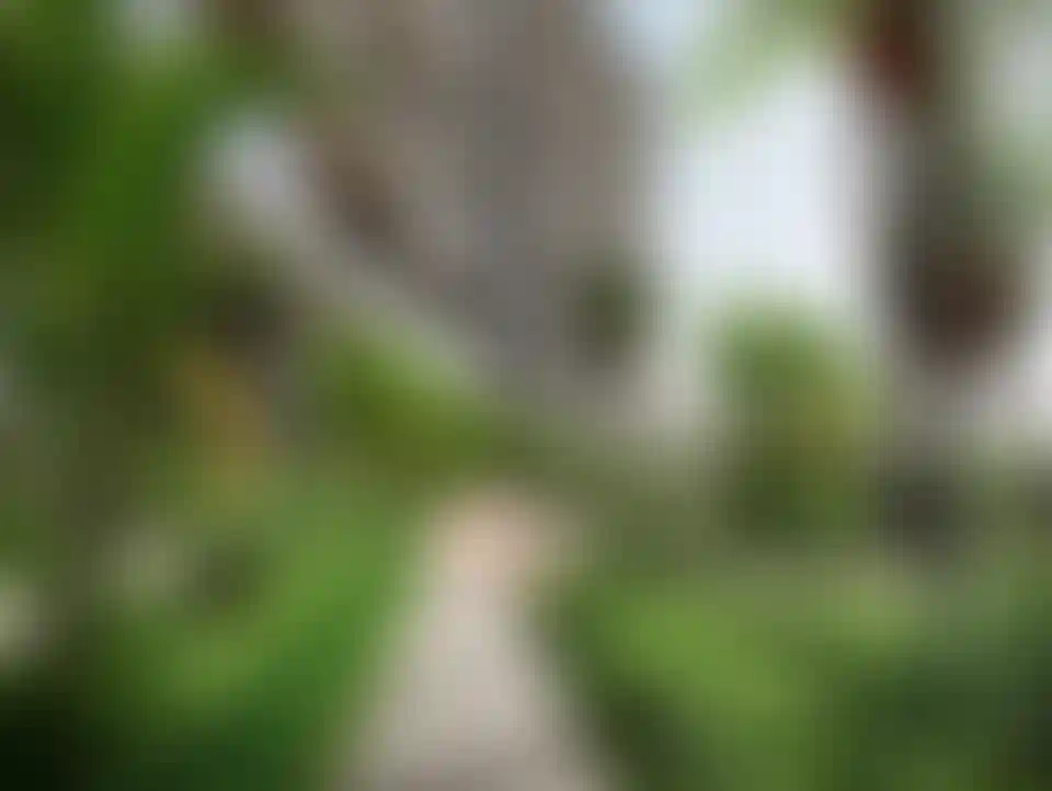 image for main block