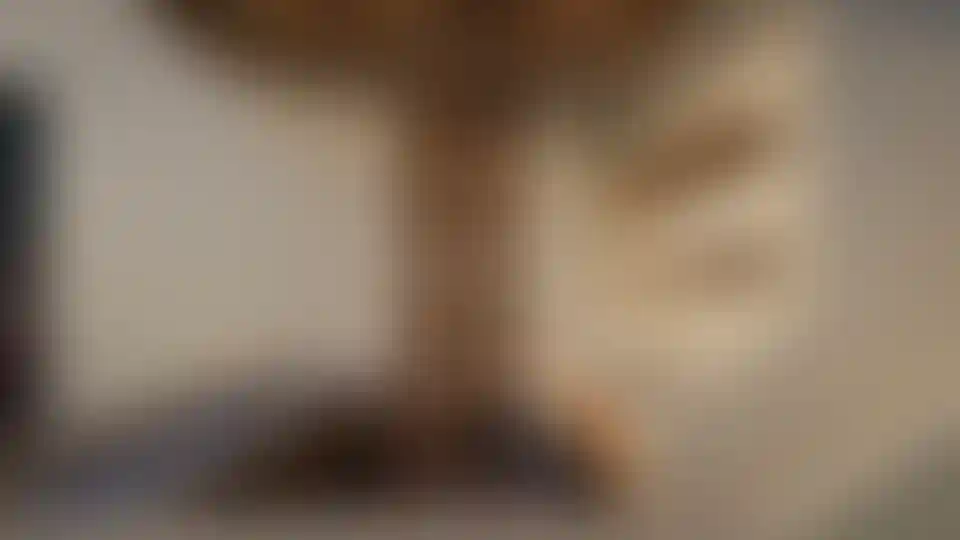 image for main block