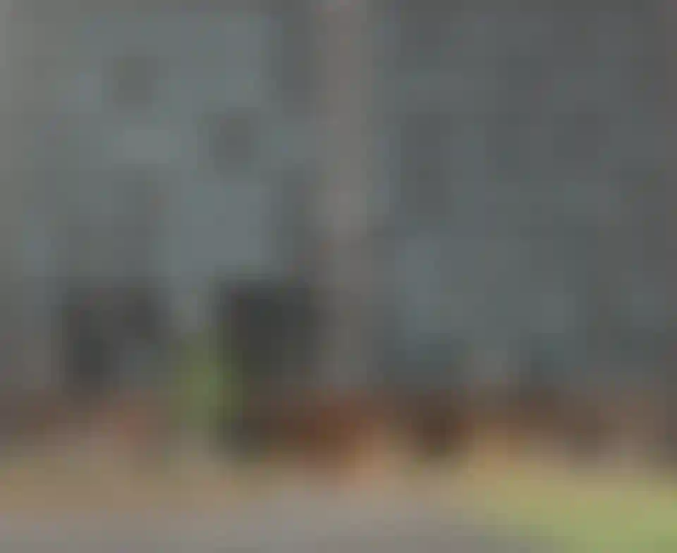 image for main block