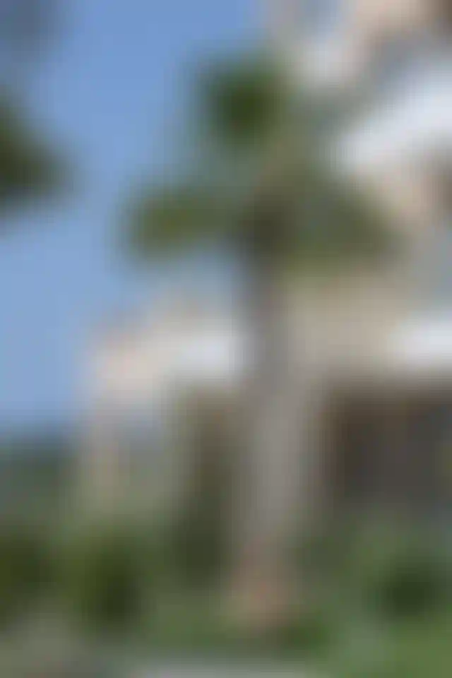 image for main block