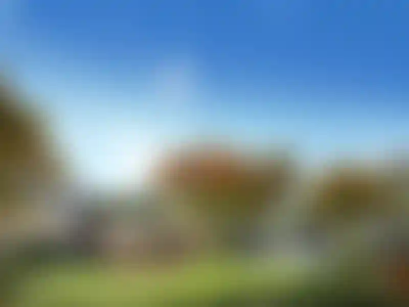 image for main block