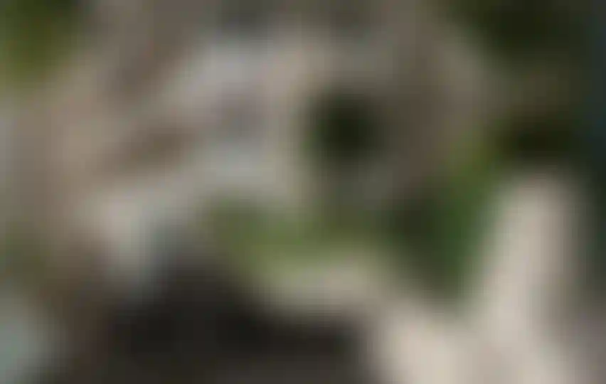 image for main block